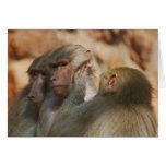 Apes hear no evil cards