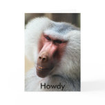 Apes Howdy Cards