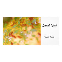 Aphids Customized Photo Card