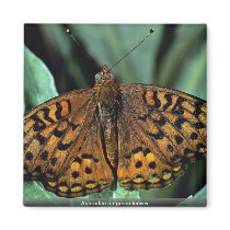 Aphrodite on green leaves refrigerator magnets