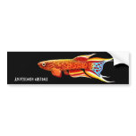 Aphyosemion Australe Killifish Bumper Sticker