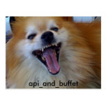 api_and_buffet post cards