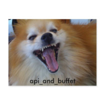 api_and_buffet post cards