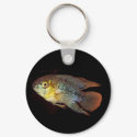 Apisto borellii keychain by Lisachromis Apisto borellii keychain
