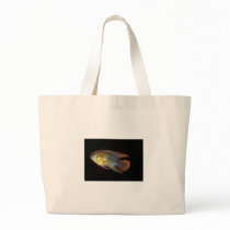 Apistogramma borellii bag by Lisachromis Apistogramma borellii bag