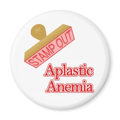 Aplastic Anemia Magnets by shopaholicchick