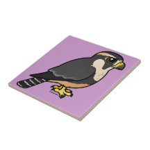 Aplomado Falcon Tiles