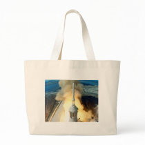 Apollo 11 Launch bags