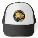 Apollo 13 hats by spacegate Apollo 13 hats