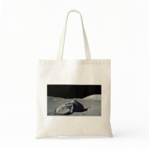 Apollo 17 Astronaut and Vehicle on the Moon Bags