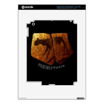 Apollo Animal Rock Art Ipad 3 Skins