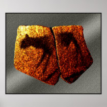 Apollo Animal Rock Art Poster