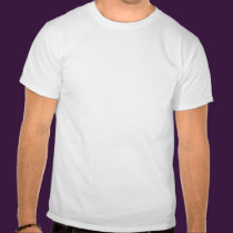 Apollo Justice Key Art t-shirts