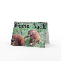 Apologies and Love cards by Rebecca_Reeder Apologies and Love cards