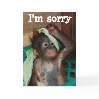 Apology I'm Sorry Greeting Cards by Rebecca_Reeder