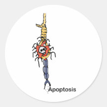 Apoptosis Round Stickers