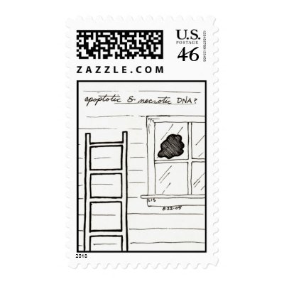 Apoptotic & Necrotic DNA stamp by bio_muse
