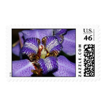 Apostle plant postage by scarrman Apostle plant postage