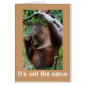 Apostrophe Atrocity cards by Rebecca_Reeder Apostrophe Atrocity cards