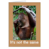 Apostrophe Atrocity cards