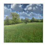 Appalachian Green Decorative Tile