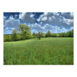 Appalachian Green Photo Print