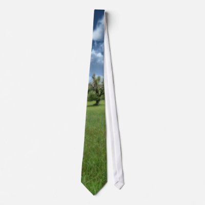 Appalachian Green Tie by SilverWebForge