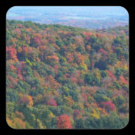 Appalachian Mountains in Fall Square Stickers