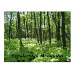 Appalachian Mountains Post Cards