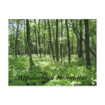 Appalachian Mountains postcards