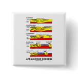 Appalachian Orogeny (Mountain Building Over Time) Pins