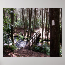 Appalachian Trail bridge at Laurel Fork Tennessee Print