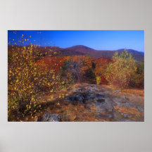 Appalachian Trail Connecticut Bear Mountain Print