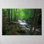 Appalachian Trail Dunns Falls Maine posters
