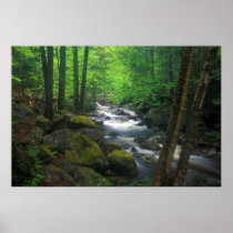 Appalachian Trail Dunns Falls Maine Posters