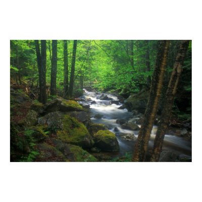 Appalachian Trail Dunns Falls Maine Posters by JohnBurk1