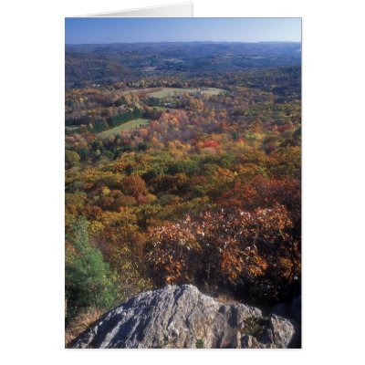 Appalachian Trail Foliage Lions Head Connecticut Greeting Card by JohnBurk1