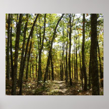Appalachian Trail in October Poster Print