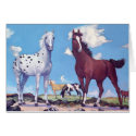 Appaloosa and Arabian Stallions cards by CowgirlCafeOnline Appaloosa and Arabian Stallions cards
