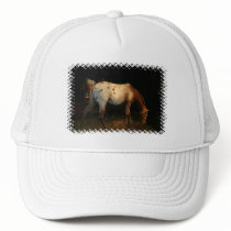 Appaloosa Baseball Hat