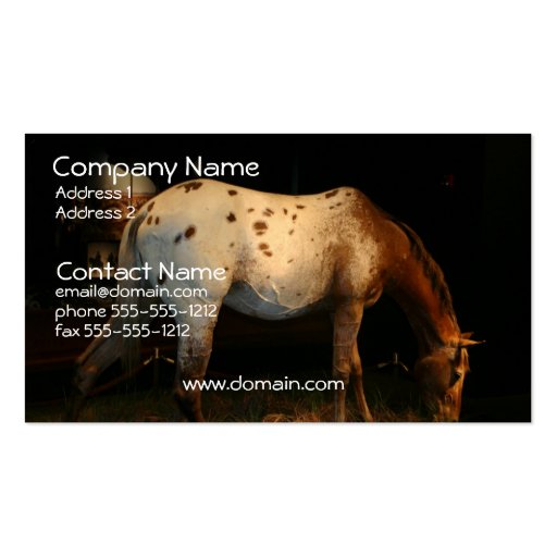 Appaloosa Business Card (front side)