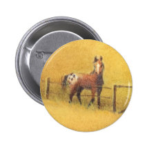 APPALOOSA by SHARON SHARPE Buttons