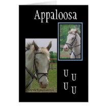 Appaloosa Card