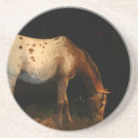 Appaloosa Coasters