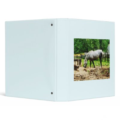 Appaloosa Eating Hay Vinyl Binders by SusanSavad