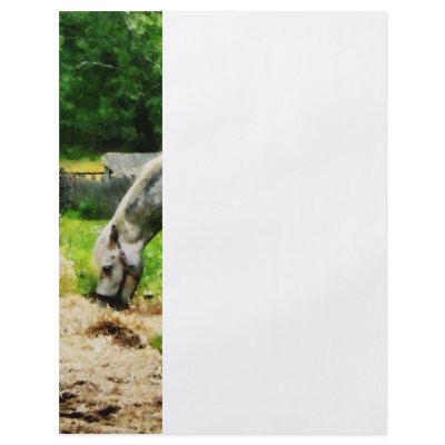 Appaloosa Eating Hay Full Color Flyer by SusanSavad
