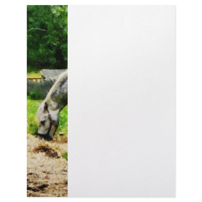 Appaloosa Eating Hay Custom Letterhead by SusanSavad
