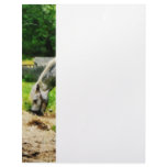 Appaloosa Eating Hay Custom Letterhead