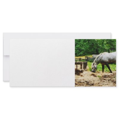 Appaloosa Eating Hay Rack Card by SusanSavad