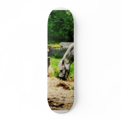 Appaloosa Eating Hay Skate Boards by SusanSavad